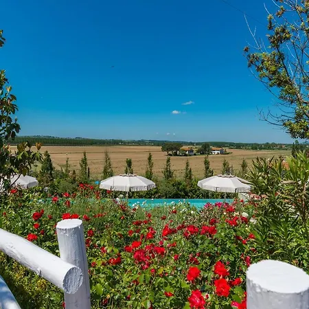 ヴィラ Luxury In Tuscany With Pool Near Pisa And Florence - 20pl